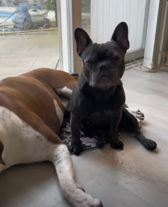 Very Cute Couple !!!